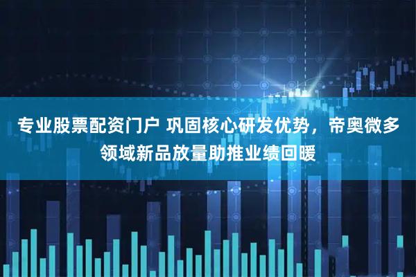 专业股票配资门户 巩固核心研发优势，帝奥微多领域新品放量助推业绩回暖